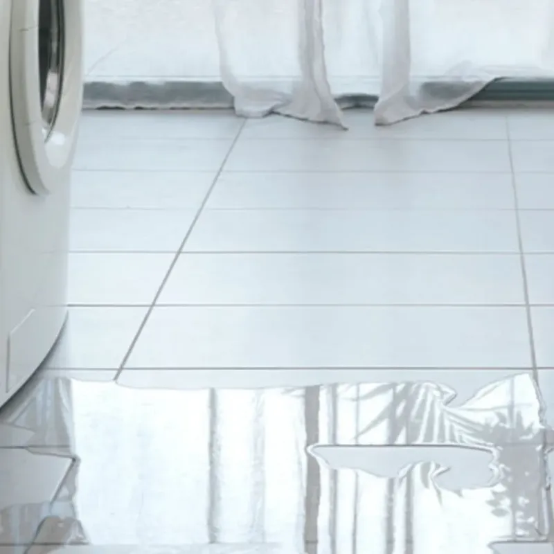 Appliance Leak Cleanup in Rochelle, GA