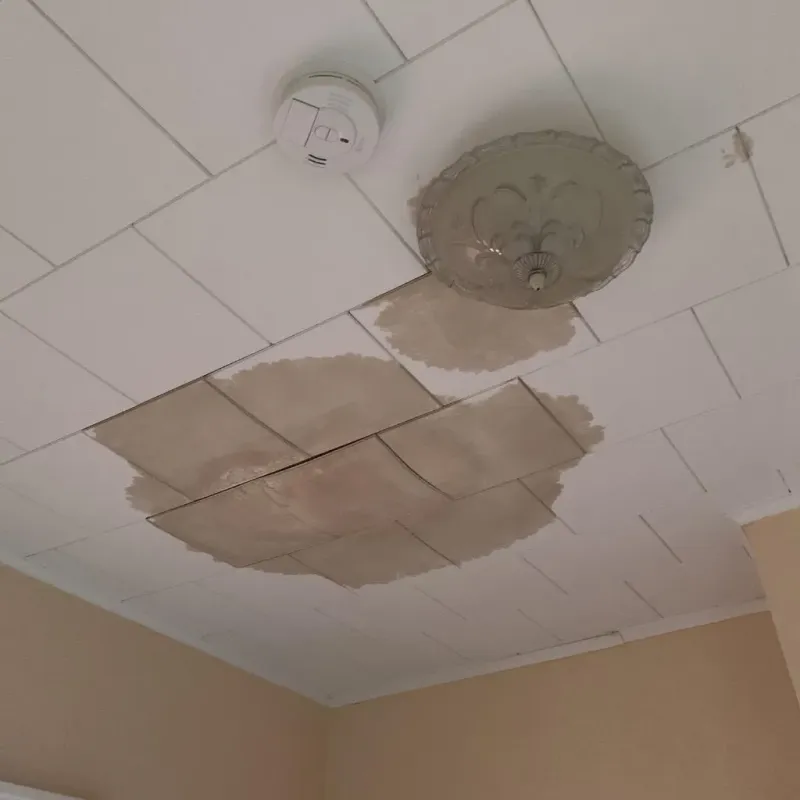 Ceiling Water Damage Repair in Rochelle, GA