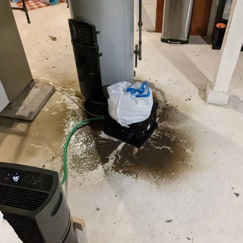 Sewage Backup Cleanup Service in Rochelle, GA